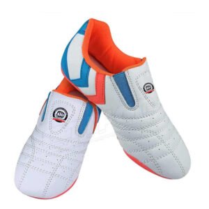 taekwondo shoes