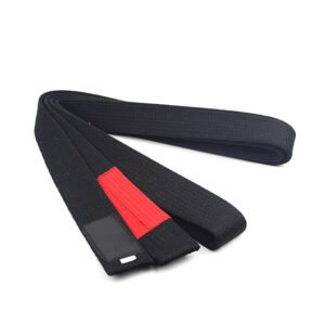 Martial arts belts
